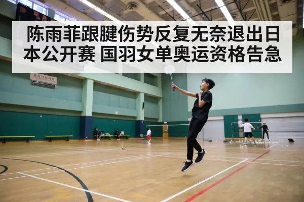 badminton court action